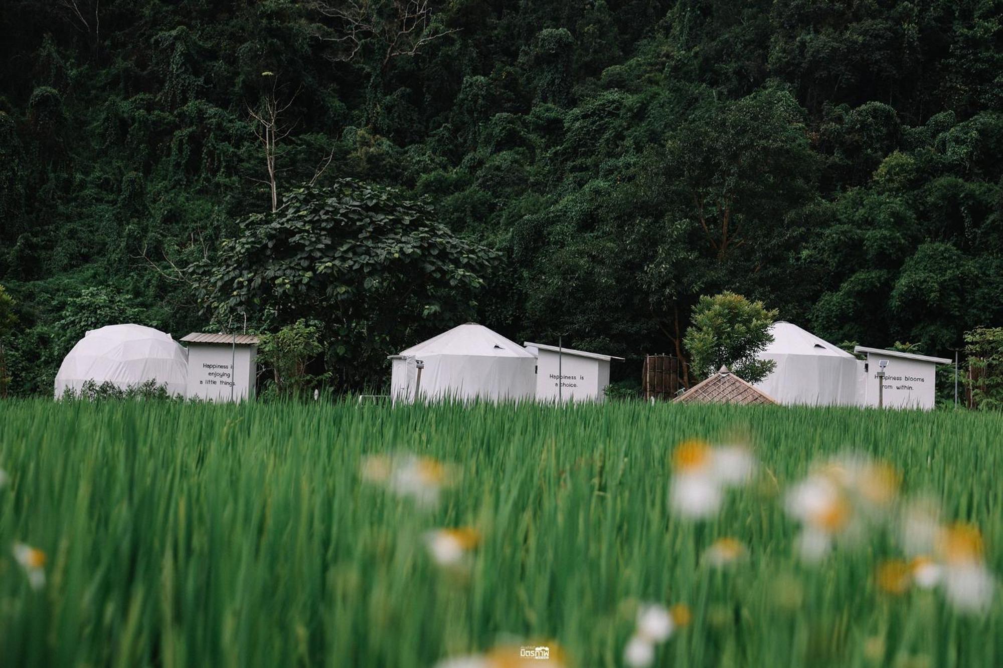 Luxury tent Ikigawa Ban Pha Khap