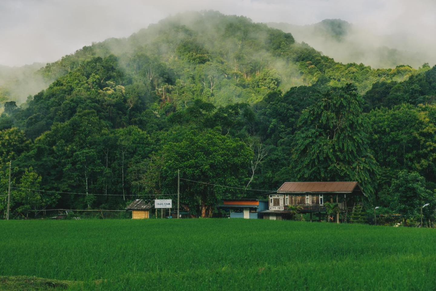 Ikigawa Luxury tent